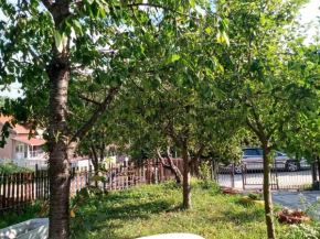 Vila Premier Sokobanja